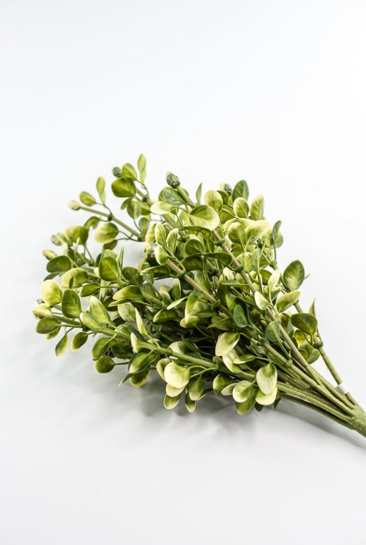 Artificial Boxwood Greenery Bush - Greenery MarketgreeneryFL6940 - YG