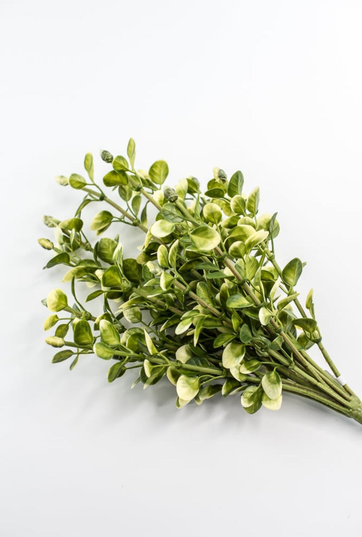 Artificial Boxwood Greenery Bush - Greenery MarketgreeneryFL6940 - YG