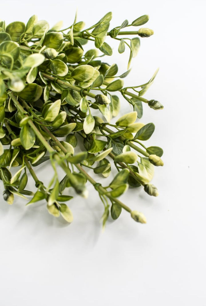 Artificial Boxwood Greenery Bush - Greenery MarketgreeneryFL6940 - YG