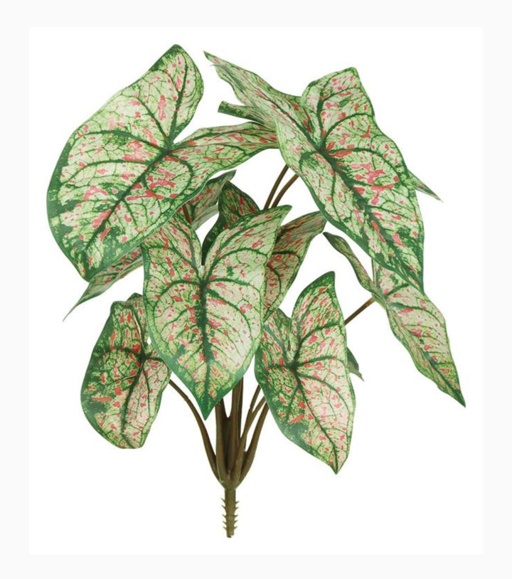 Artificial caladinum bush - cream pink - Greenery MarketgreeneryFL6497 - GCP