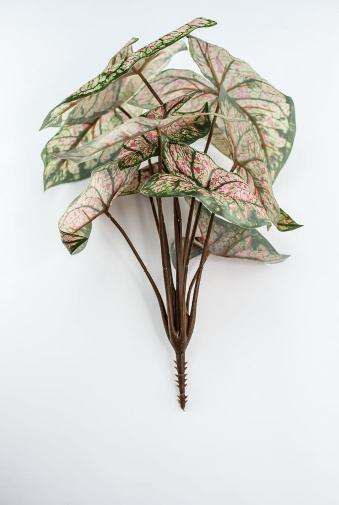 Artificial caladinum bush - cream pink - Greenery MarketgreeneryFL6497 - GCP