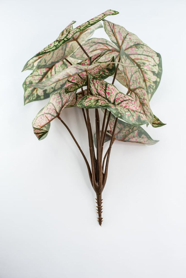 Artificial caladinum bush - cream pink - Greenery MarketgreeneryFL6497 - GCP