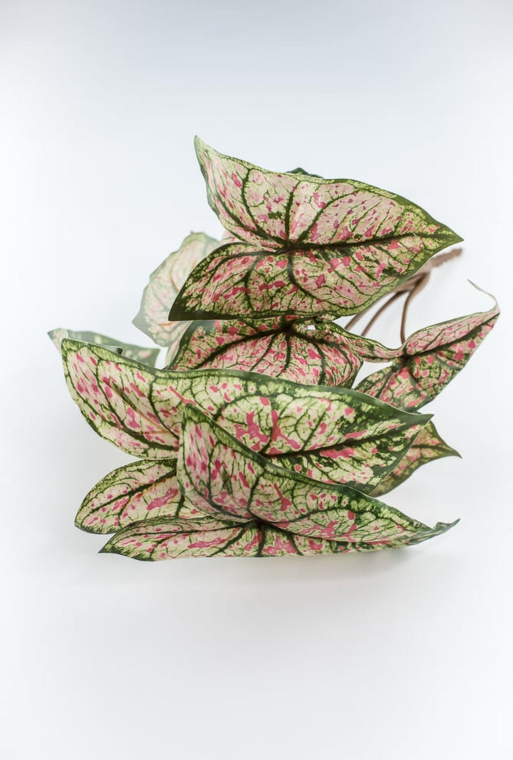 Artificial caladinum bush - cream pink - Greenery MarketgreeneryFL6497 - GCP