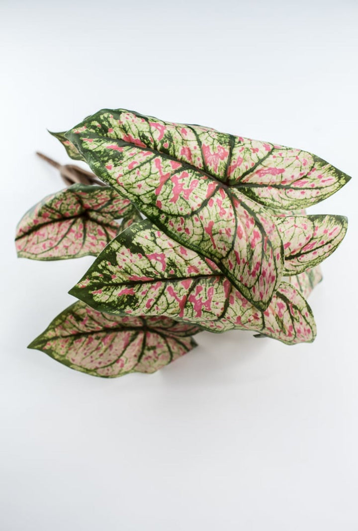 Artificial caladinum bush - cream pink - Greenery MarketgreeneryFL6497 - GCP