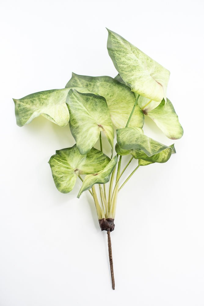 Artificial caladinum bush - Green White - Greenery MarketgreeneryMTF24456 GRWH