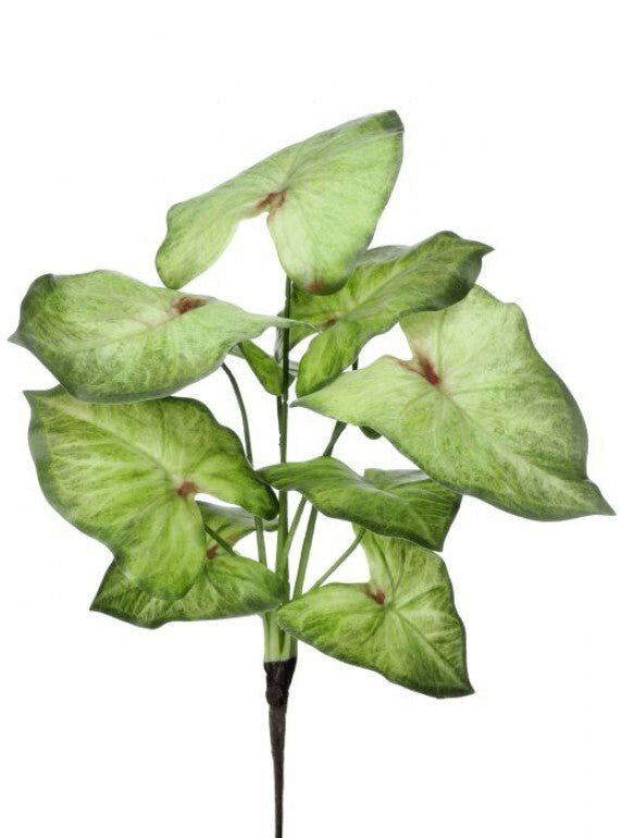 Artificial caladinum bush - Green White - Greenery MarketgreeneryMTF24456 GRWH