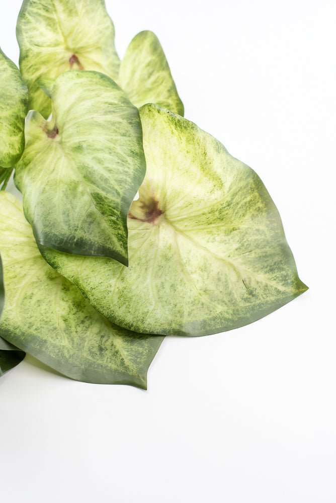 Artificial caladinum bush - Green White - Greenery MarketgreeneryMTF24456 GRWH