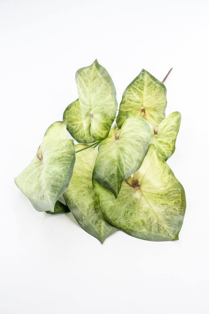 Artificial caladinum bush - Green White - Greenery MarketgreeneryMTF24456 GRWH