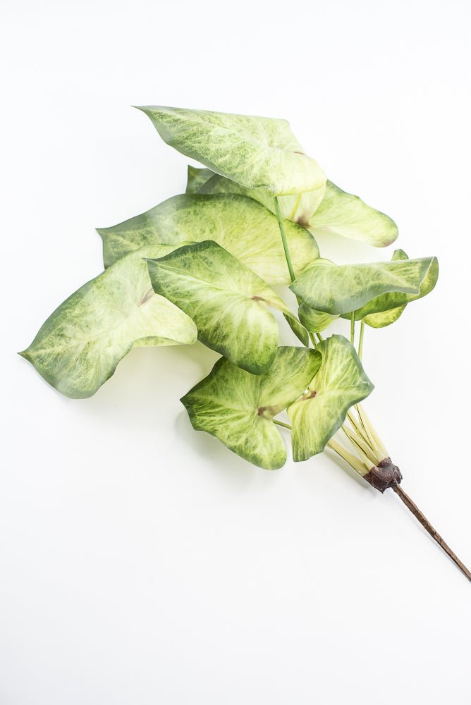 Artificial caladinum bush - Green White - Greenery MarketgreeneryMTF24456 GRWH