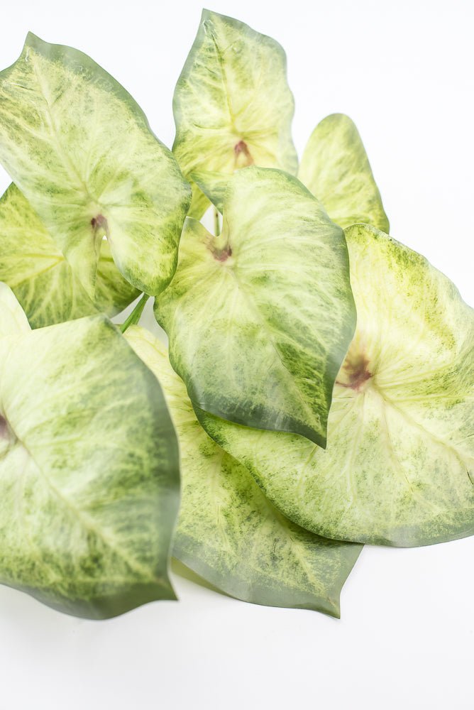 Artificial caladinum bush - Green White - Greenery MarketgreeneryMTF24456 GRWH