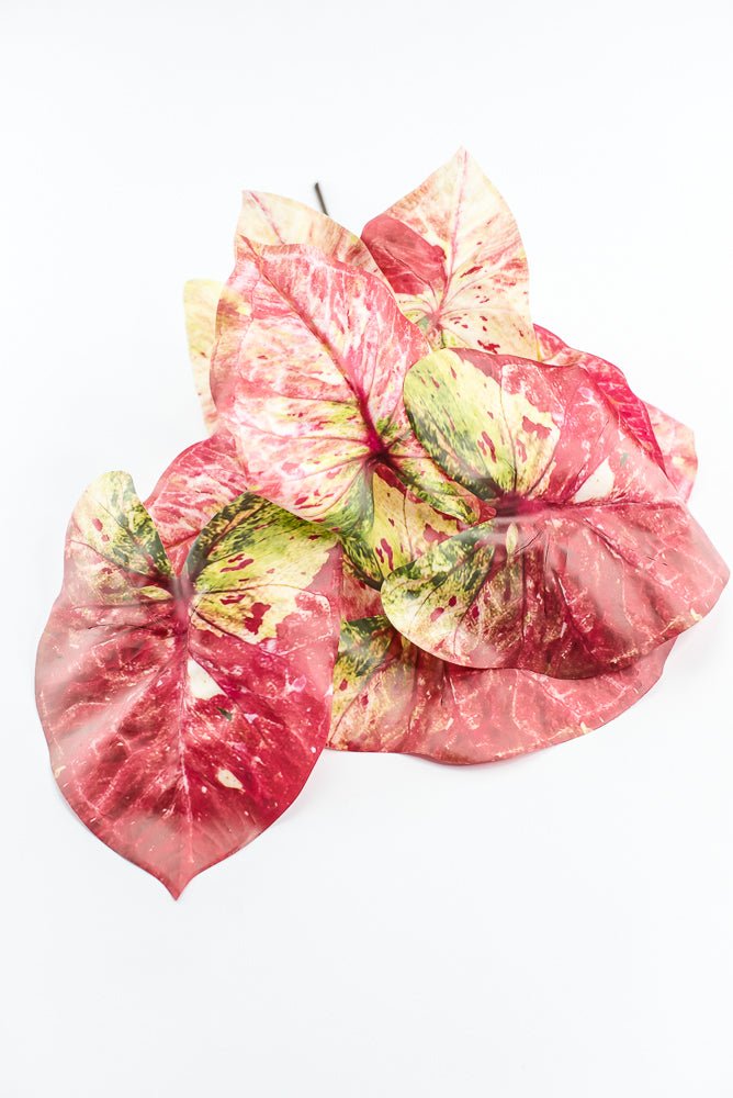 Artificial caladinum bush - Pink Green - Greenery MarketgreeneryMTF24456 PKGR