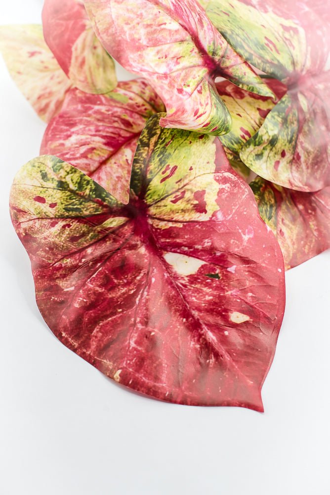 Artificial caladinum bush - Pink Green - Greenery MarketgreeneryMTF24456 PKGR