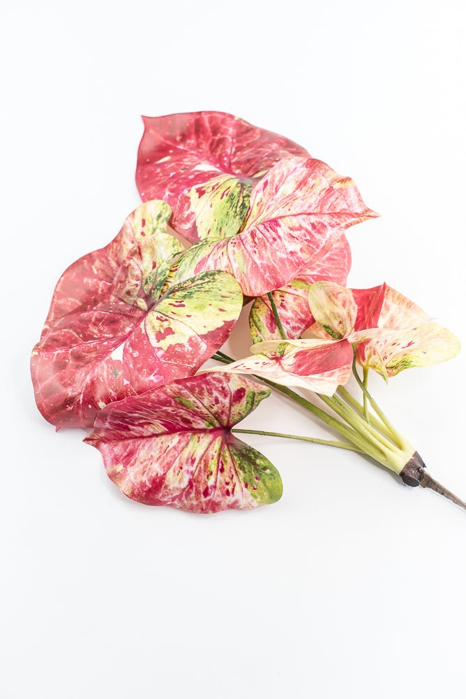 Artificial caladinum bush - Pink Green - Greenery MarketgreeneryMTF24456 PKGR