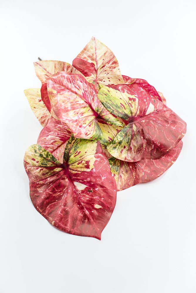 Artificial caladinum bush - Pink Green - Greenery MarketgreeneryMTF24456 PKGR