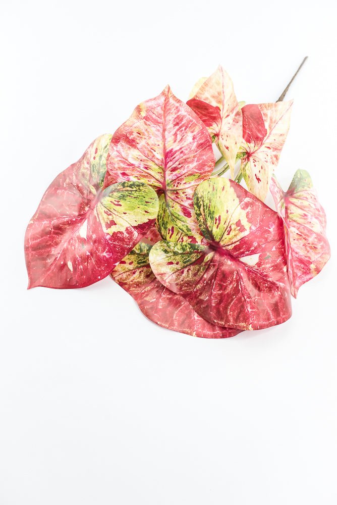 Artificial caladinum bush - Pink Green - Greenery MarketgreeneryMTF24456 PKGR