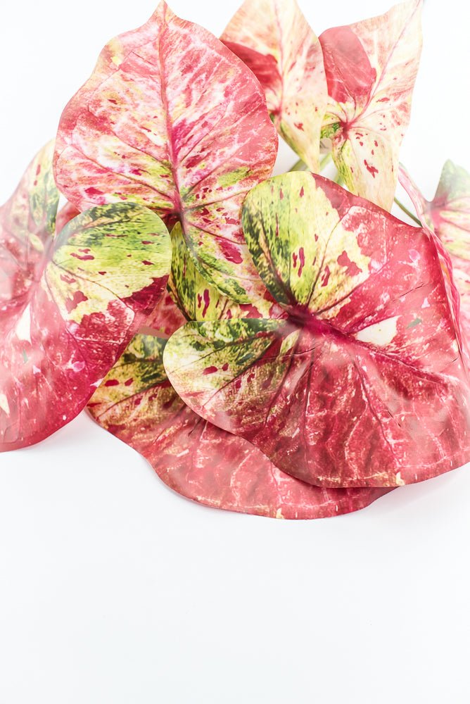 Artificial caladinum bush - Pink Green - Greenery MarketgreeneryMTF24456 PKGR