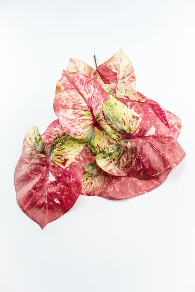 Artificial caladinum bush - Pink Green - Greenery MarketgreeneryMTF24456 PKGR