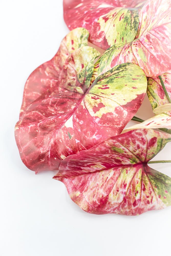 Artificial caladinum bush - Pink Green - Greenery MarketgreeneryMTF24456 PKGR