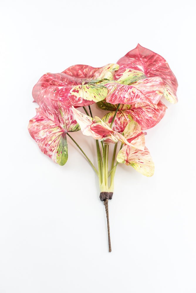 Artificial caladinum bush - Pink Green - Greenery MarketgreeneryMTF24456 PKGR