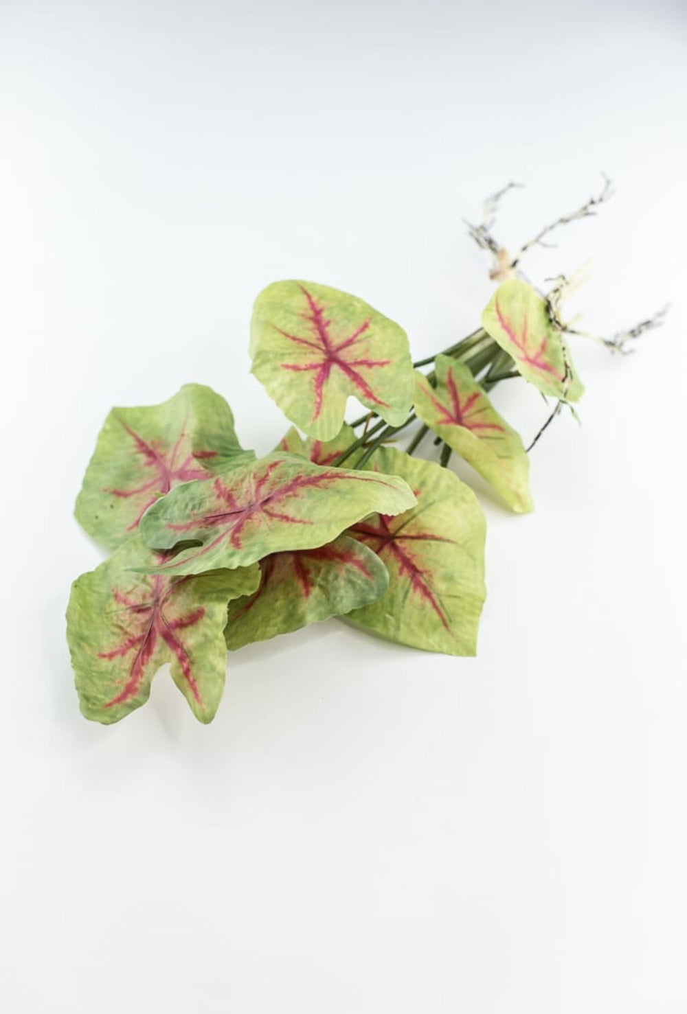 Artificial caladinum plant - Greenery MarketgreeneryFl5820 - GR