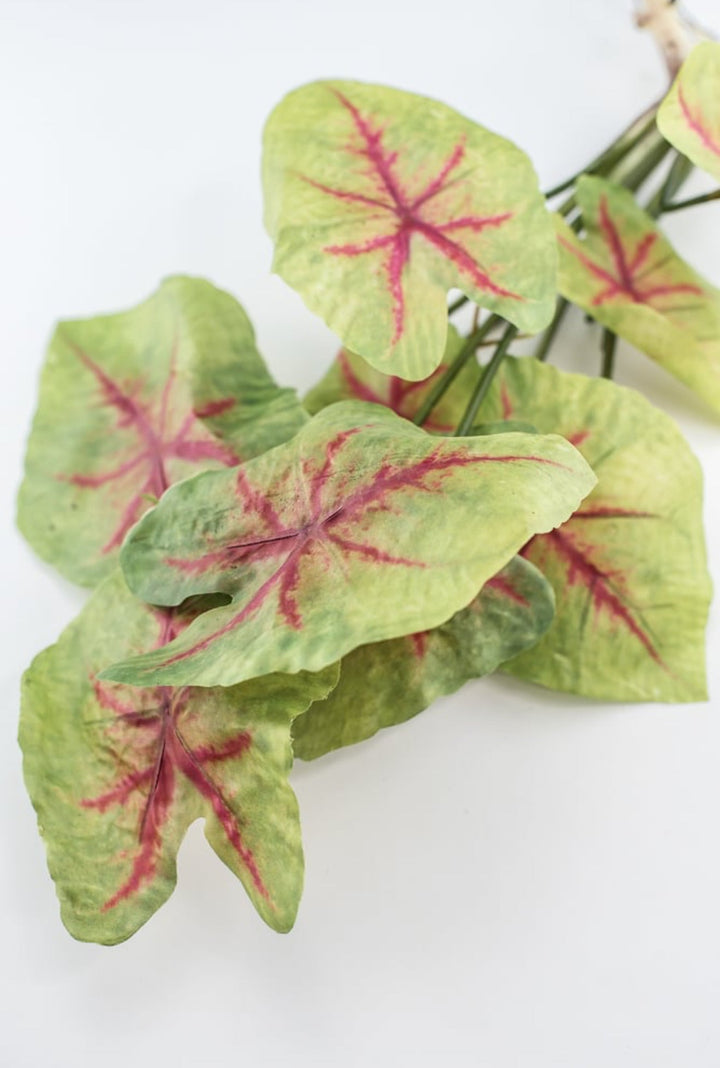 Artificial caladinum plant - Greenery MarketgreeneryFl5820 - GR