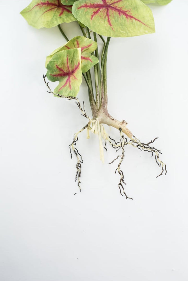Artificial caladinum plant - Greenery MarketgreeneryFl5820 - GR