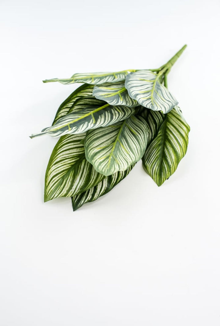 Artificial Calathea whitestar leaf plant / real touch - Greenery MarketArtificial FloraFL6552/S - GW