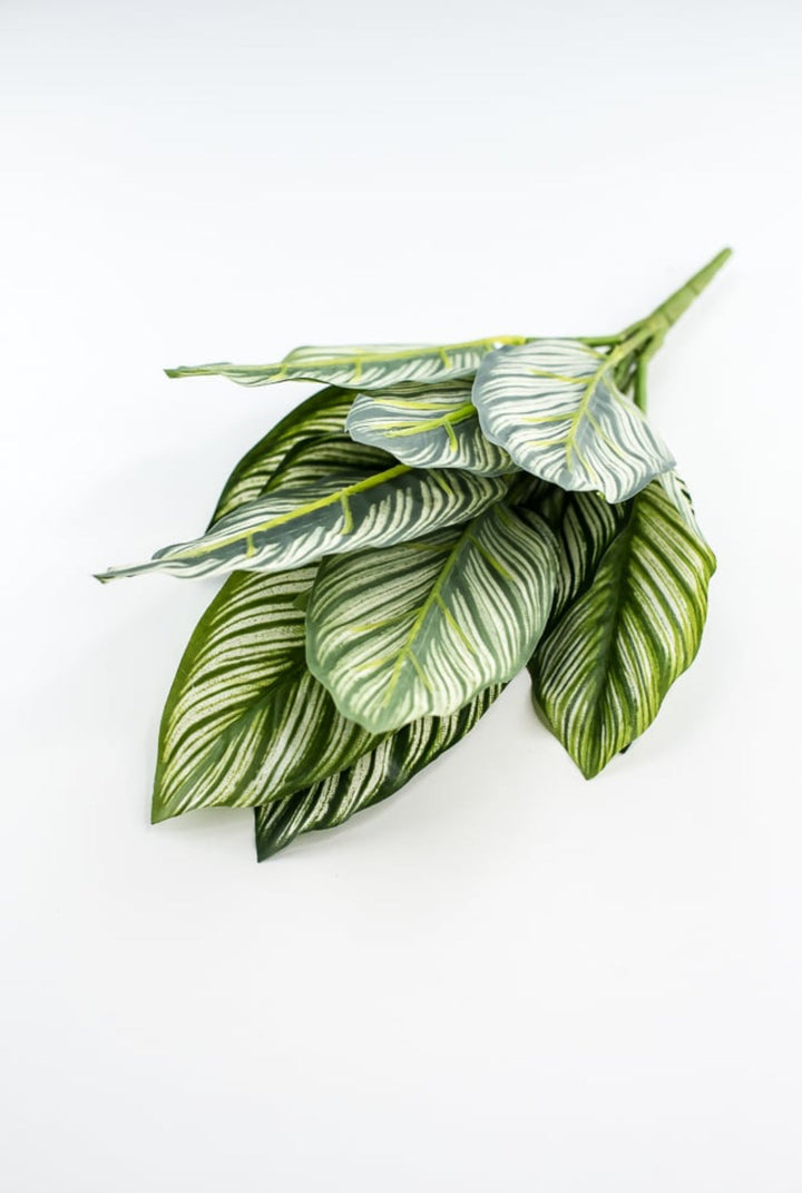 Artificial Calathea whitestar leaf plant / real touch - Greenery MarketArtificial FloraFL6552/S - GW