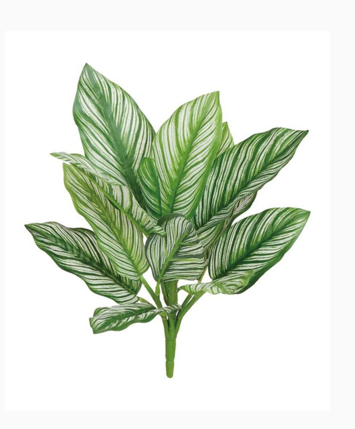 Artificial Calathea whitestar leaf plant / real touch - Greenery MarketArtificial FloraFL6552/S - GW