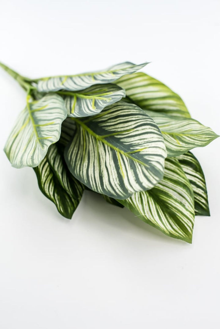 Artificial Calathea whitestar leaf plant / real touch - Greenery MarketArtificial FloraFL6552/S - GW