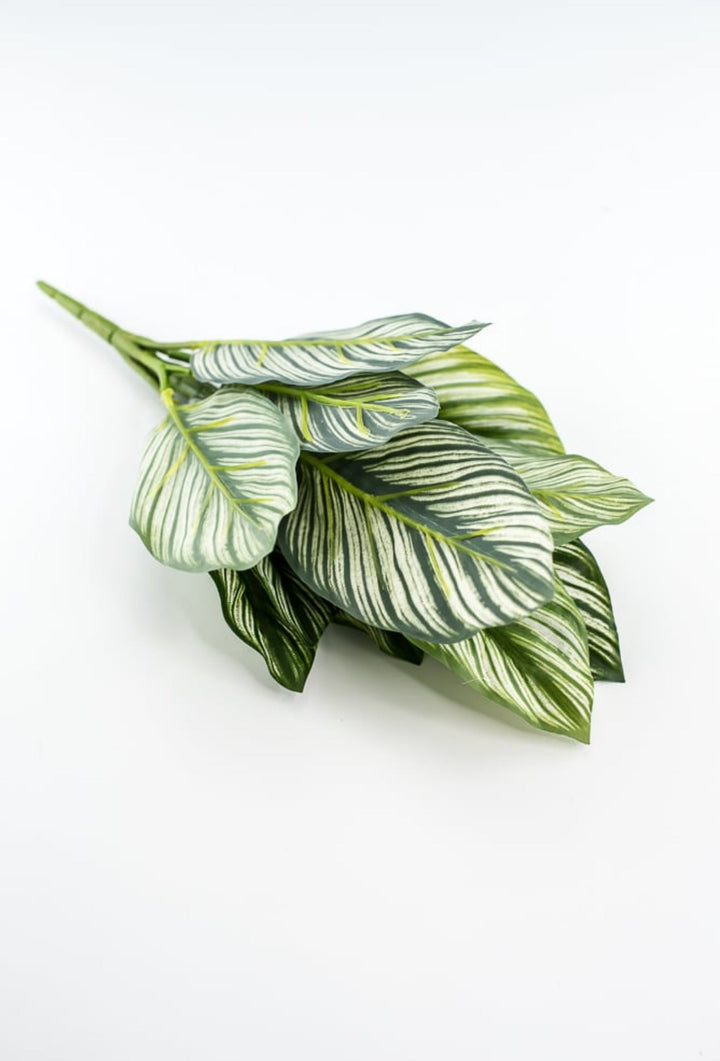 Artificial Calathea whitestar leaf plant / real touch - Greenery MarketArtificial FloraFL6552/S - GW