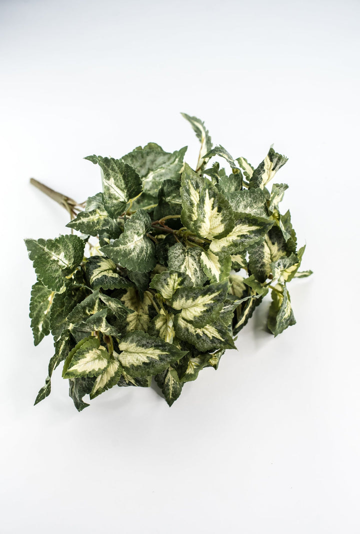 Artificial Coleus Leaves Bush - Greenery MarketPBC106 - GR/VG