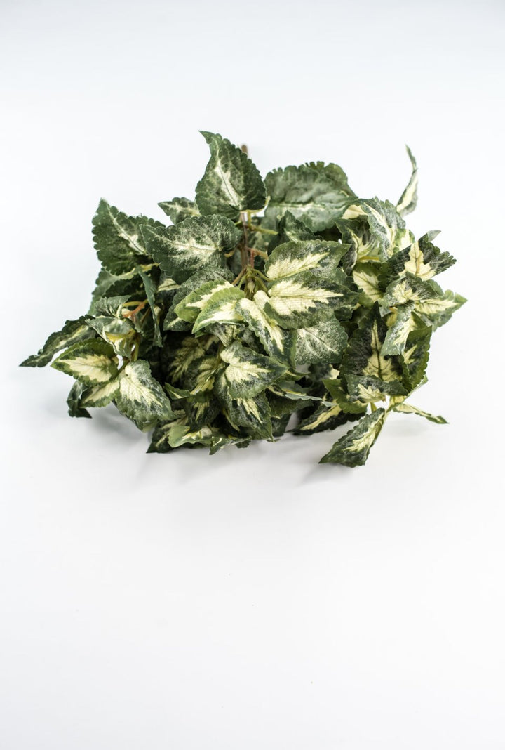 Artificial Coleus Leaves Bush - Greenery MarketPBC106 - GR/VG