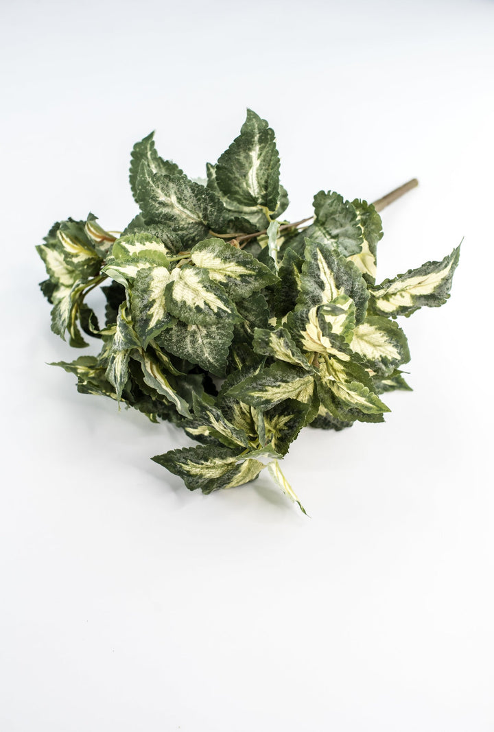 Artificial Coleus Leaves Bush - Greenery MarketPBC106 - GR/VG