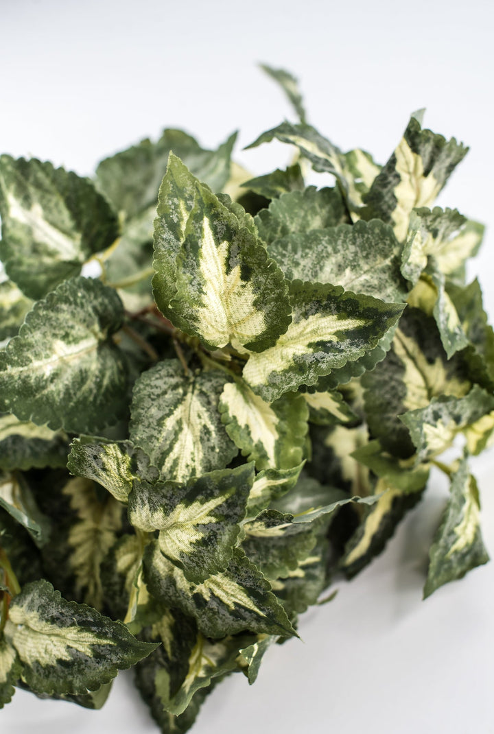 Artificial Coleus Leaves Bush - Greenery MarketPBC106 - GR/VG