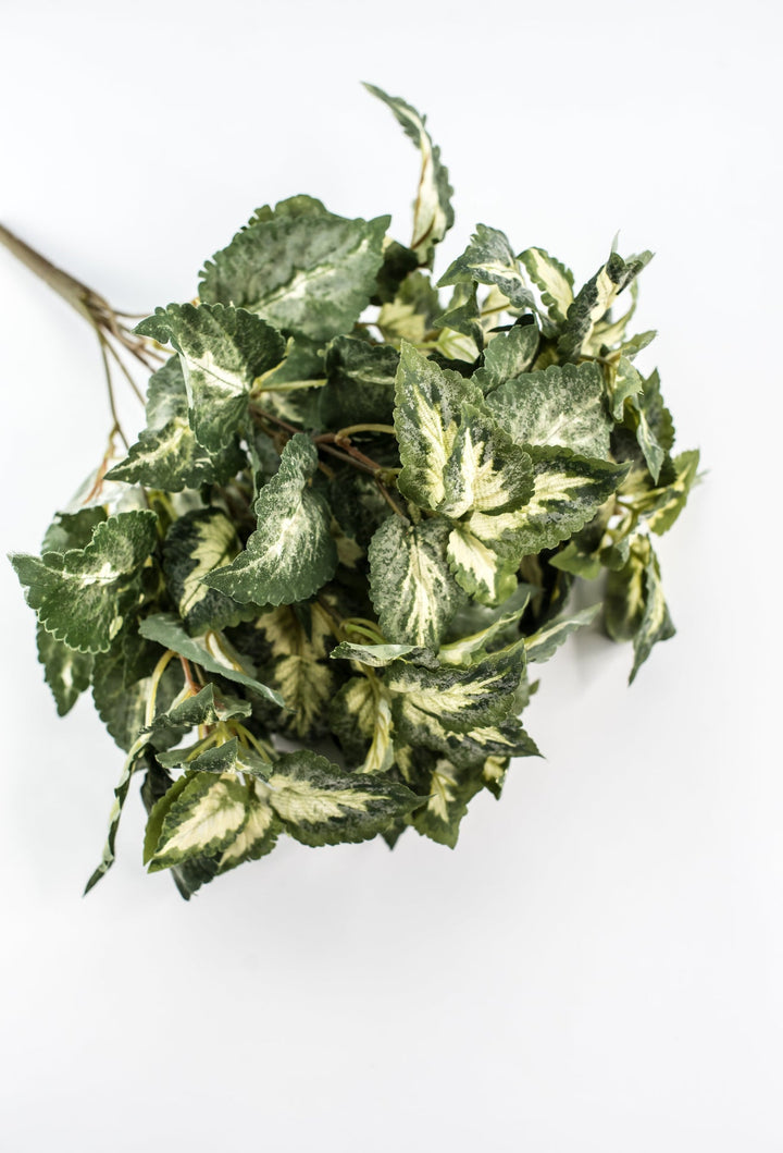 Artificial Coleus Leaves Bush - Greenery MarketPBC106 - GR/VG