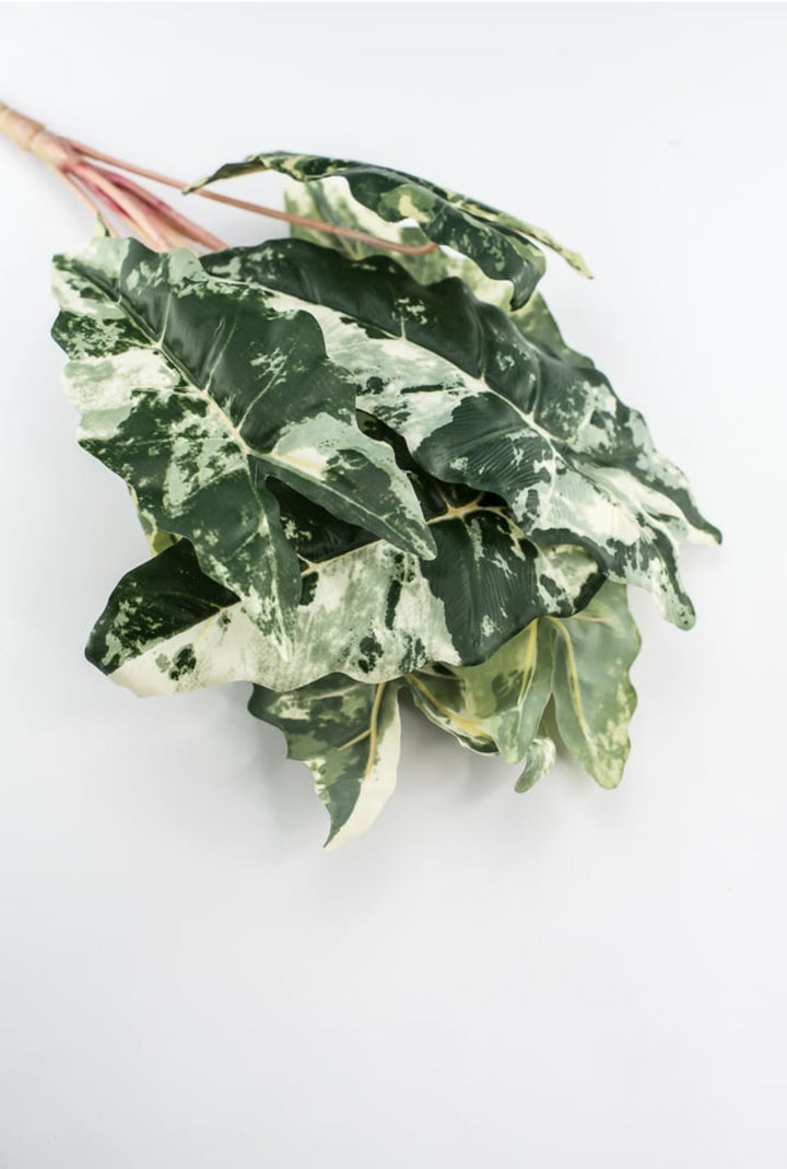 Artificial Colocasia bush / variegated - Greenery MarketArtificial FloraFL6554 - VAR