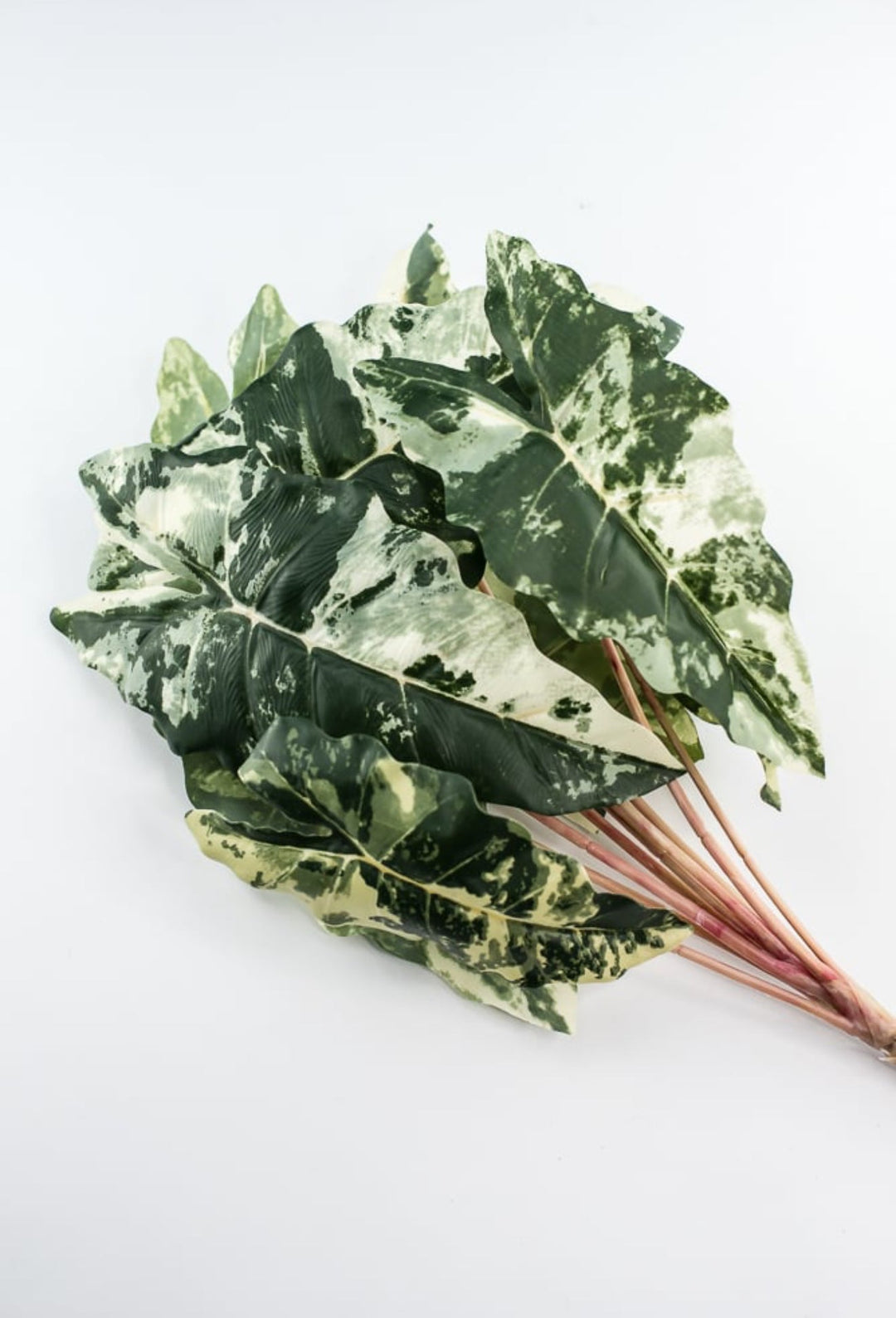 Artificial Colocasia bush / variegated - Greenery MarketArtificial FloraFL6554 - VAR