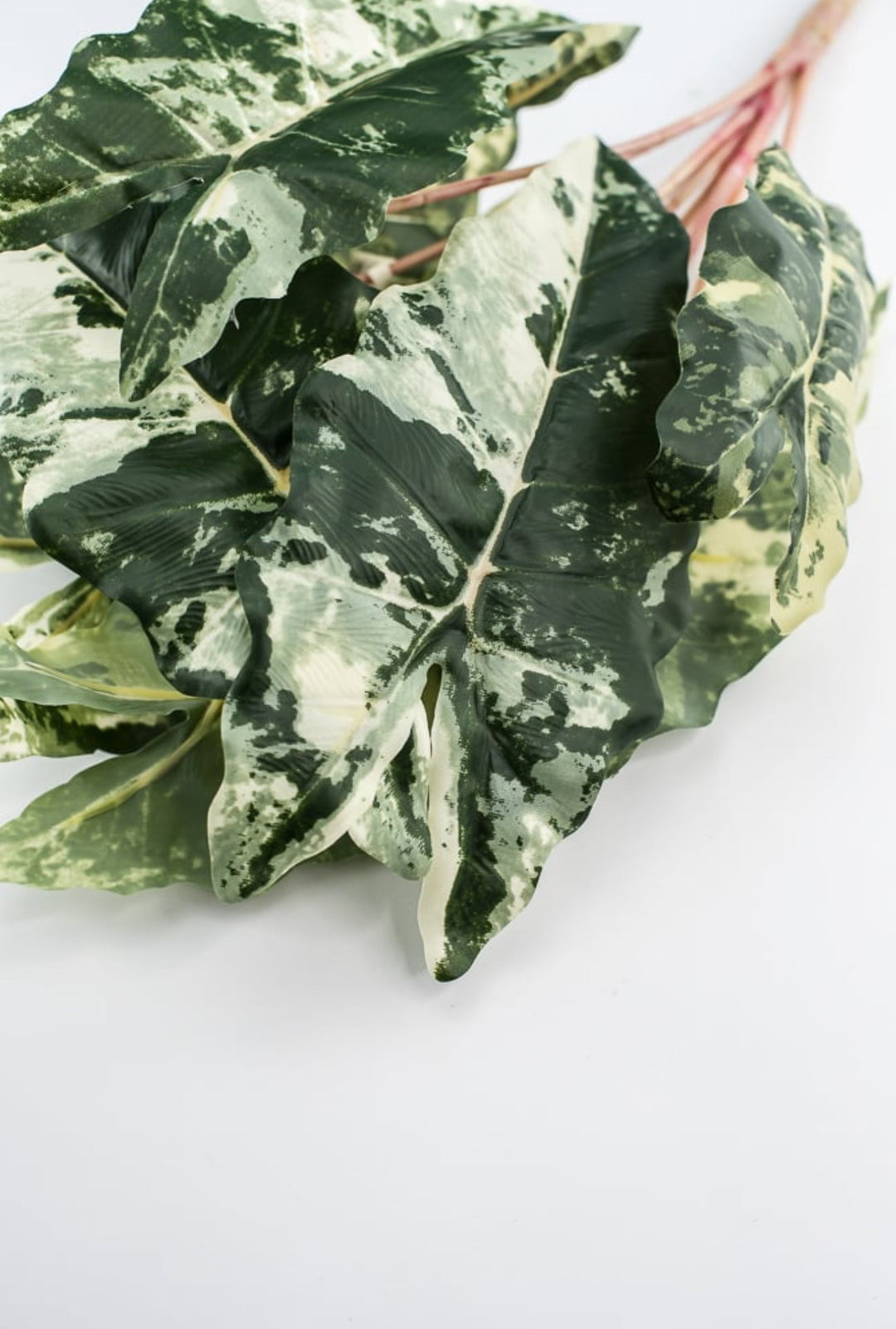 Artificial Colocasia bush / variegated - Greenery MarketArtificial FloraFL6554 - VAR