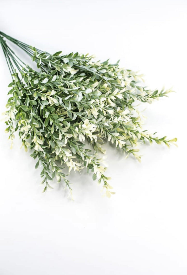 Artificial, cream tipped, boxwood bush x 2 bushes - Greenery Marketgreenery43236