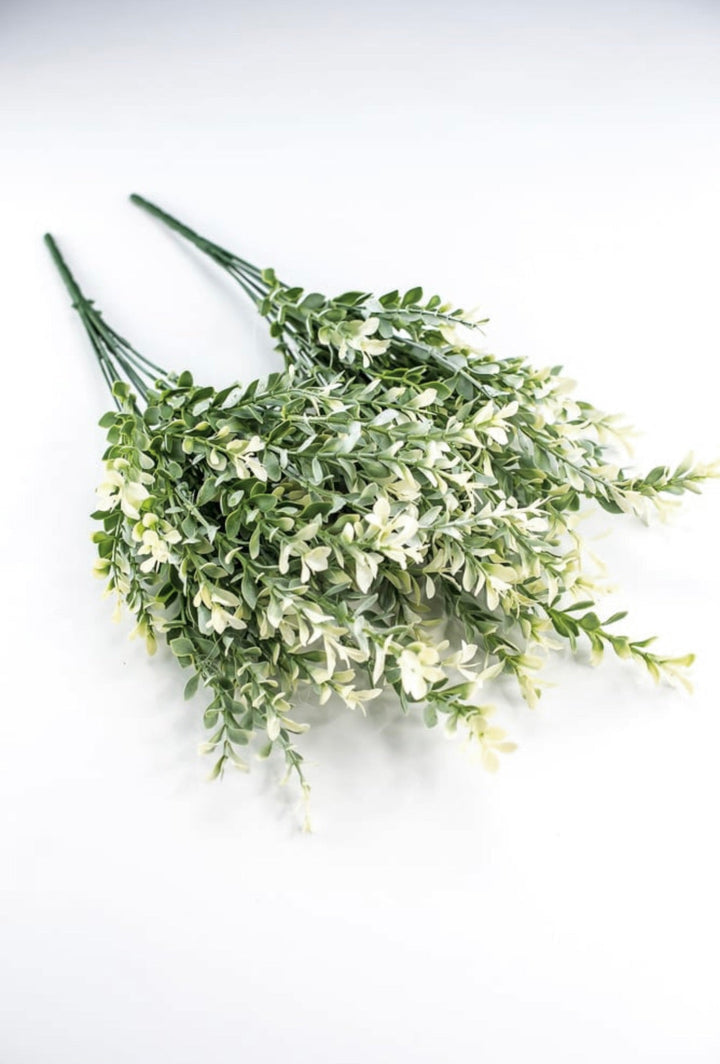 Artificial, cream tipped, boxwood bush x 2 bushes - Greenery Marketgreenery43236