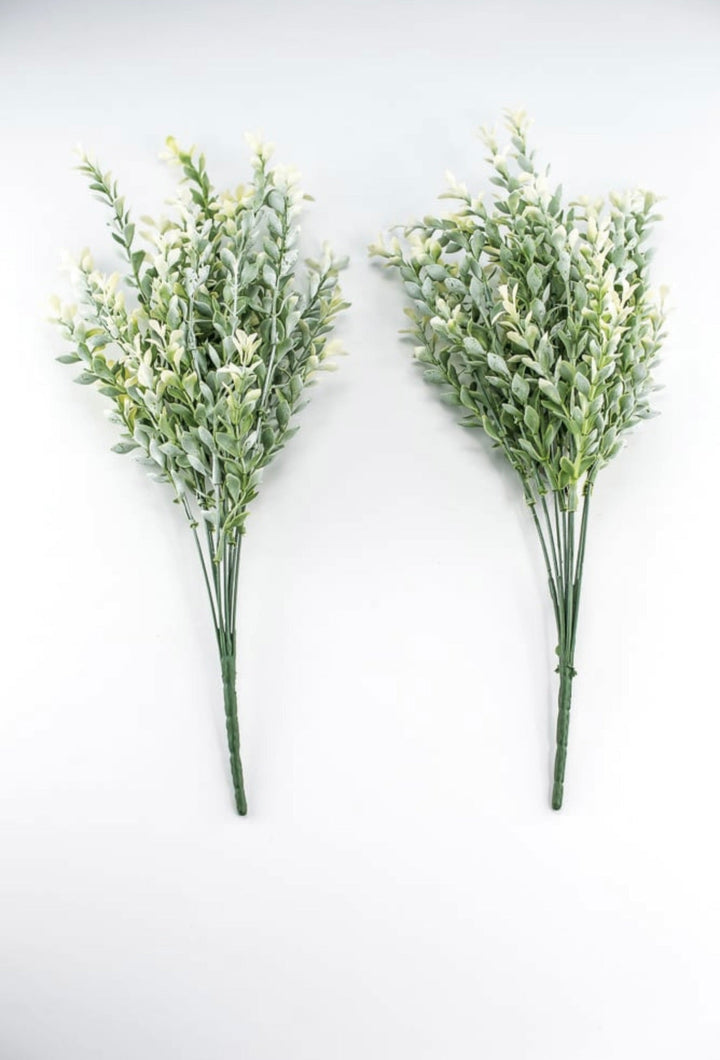 Artificial, cream tipped, boxwood bush x 2 bushes - Greenery Marketgreenery43236