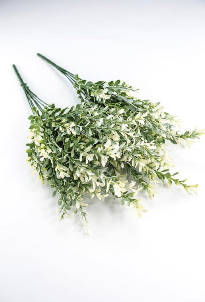 Artificial, cream tipped, boxwood bush x 2 bushes - Greenery Marketgreenery43236