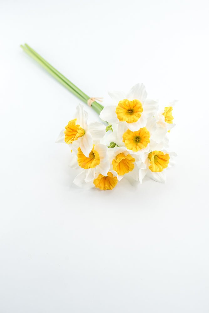 Artificial Daffodils Bundle - White Yellow - Greenery MarketArtificial FloraMTF24430 WHYE