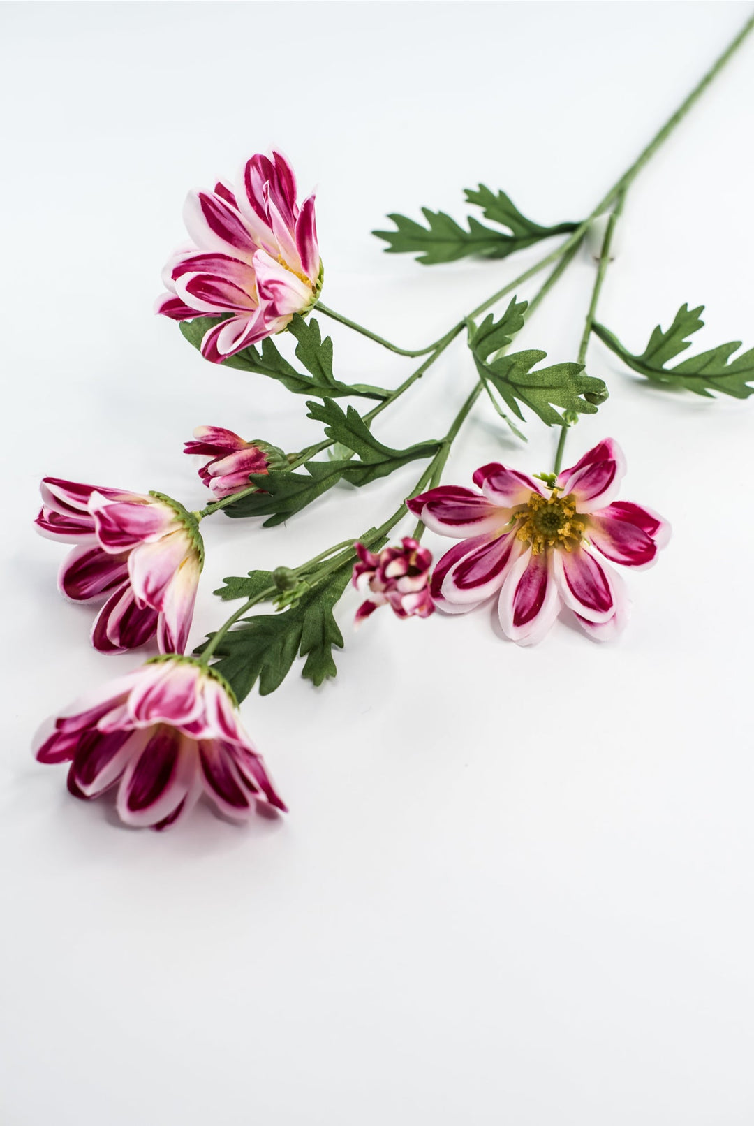 Artificial, Daisy Flower Spray - Magenta - Greenery Market6482 - MAG