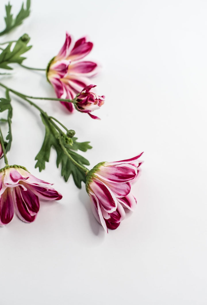 Artificial, Daisy Flower Spray - Magenta - Greenery Market6482 - MAG