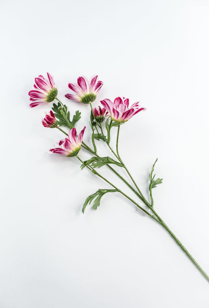 Artificial, Daisy Flower Spray - Magenta - Greenery Market6482 - MAG