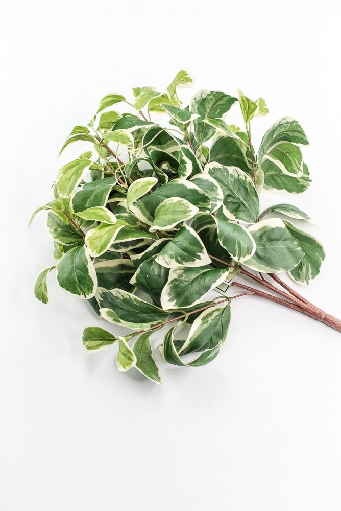 Artificial Euonymus Bush - Greenery MarketgreeneryMTF23612 GRWH