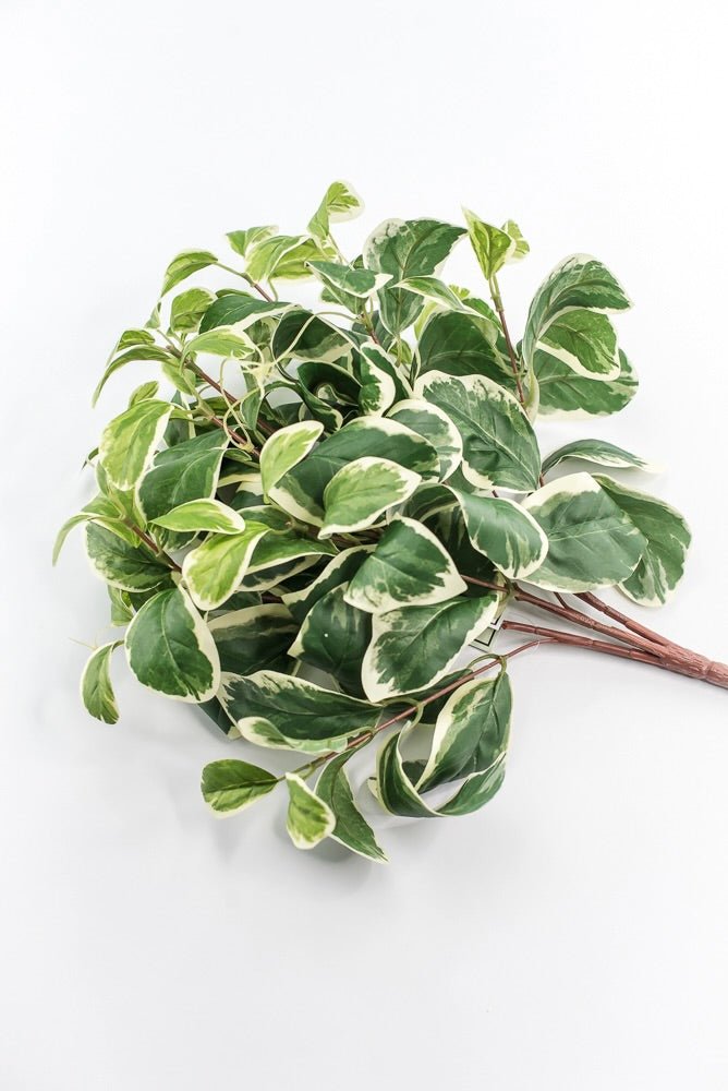 Artificial Euonymus Bush - Greenery MarketgreeneryMTF23612 GRWH