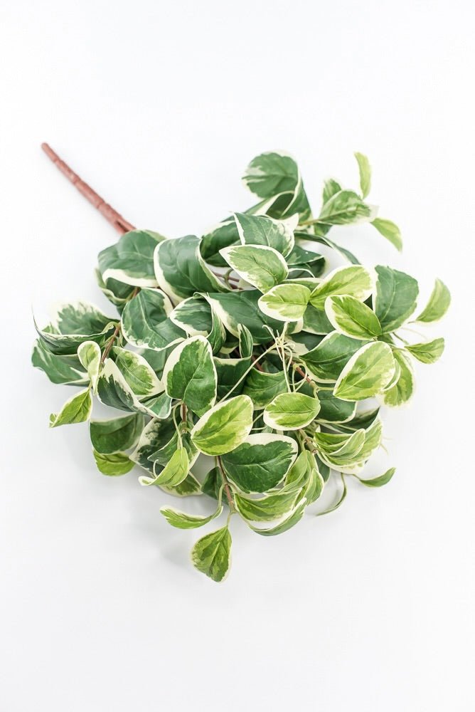 Artificial Euonymus Bush - Greenery MarketgreeneryMTF23612 GRWH